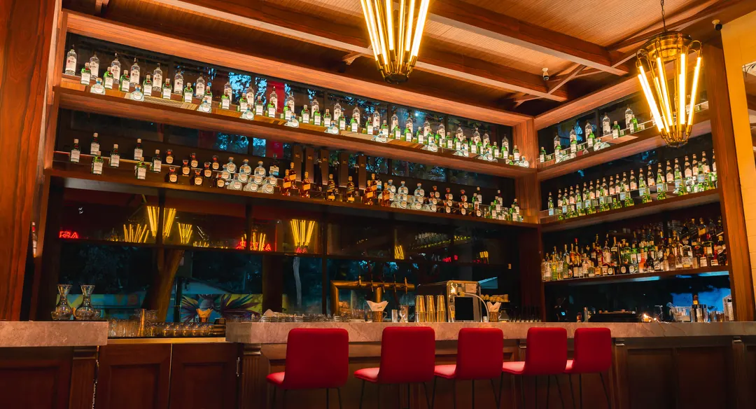 Balcão do bar com banquetas vermelhas e prateleiras de garrafas iluminadas